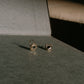 Jardin Earrings (sapphire)