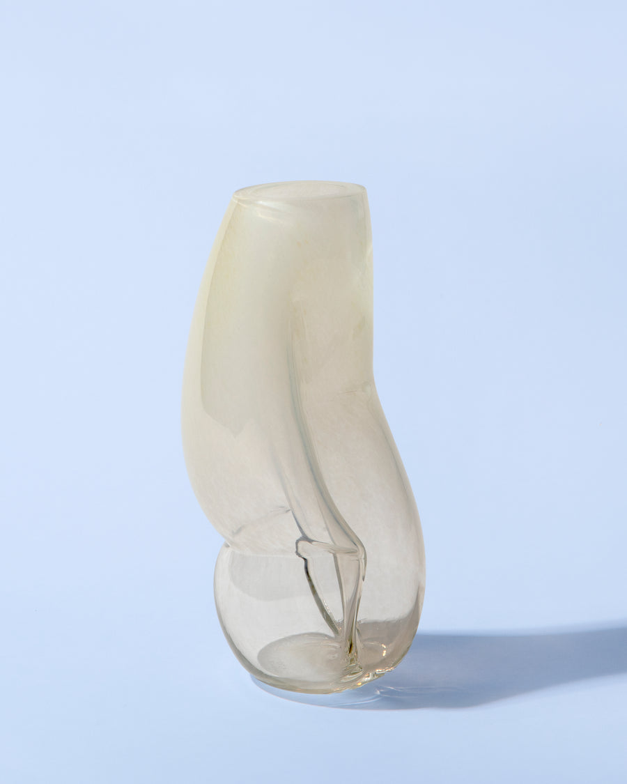Figure no. 1