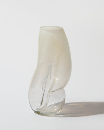 Figure no. 1