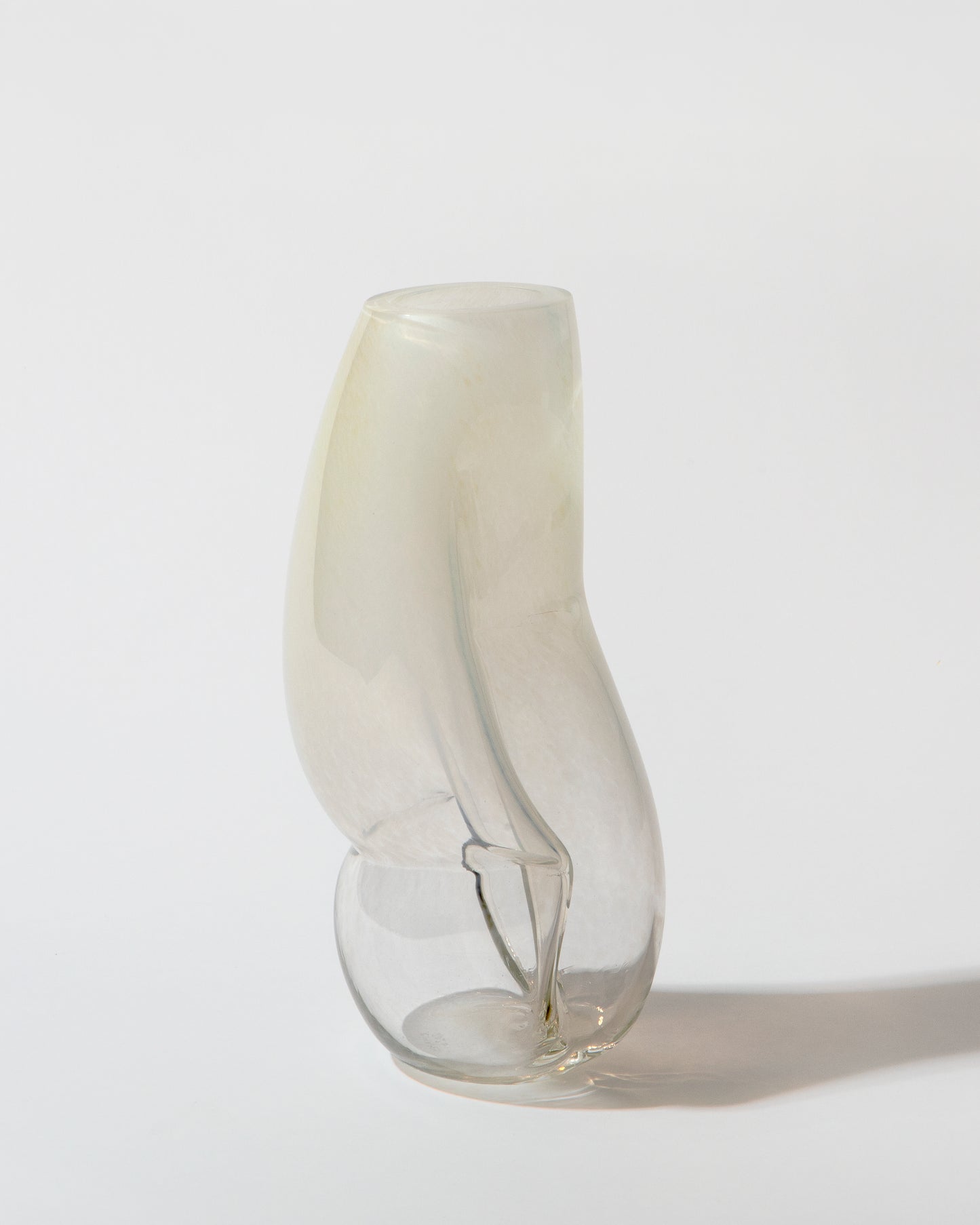 Figure no. 1