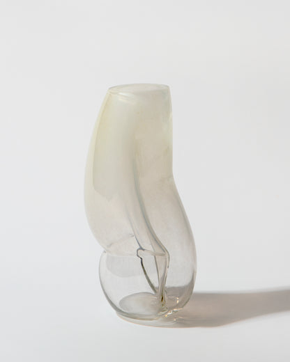 Figure no. 1