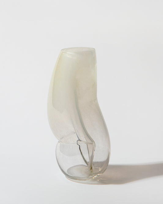 Figure no. 1
