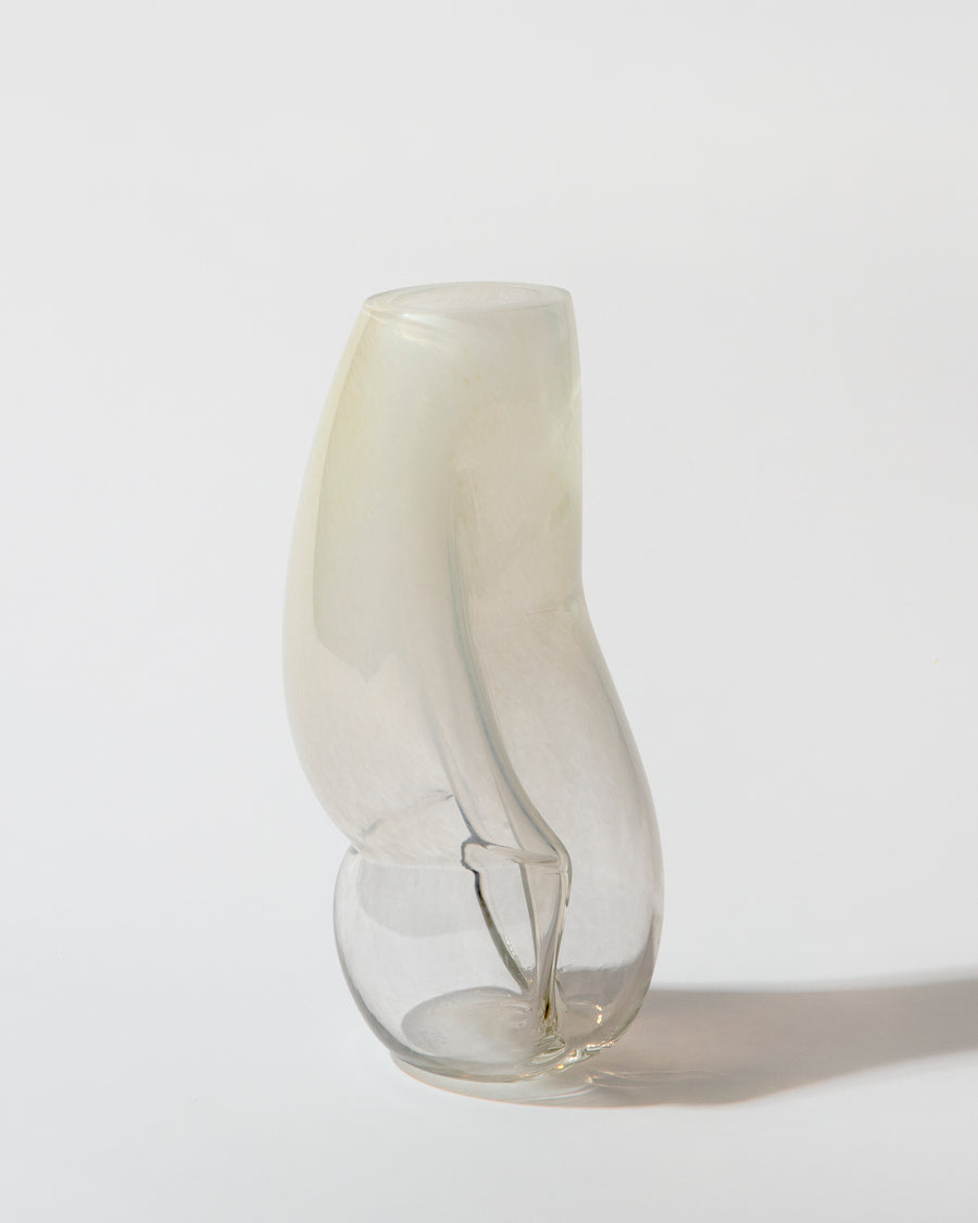 Figure no. 1
