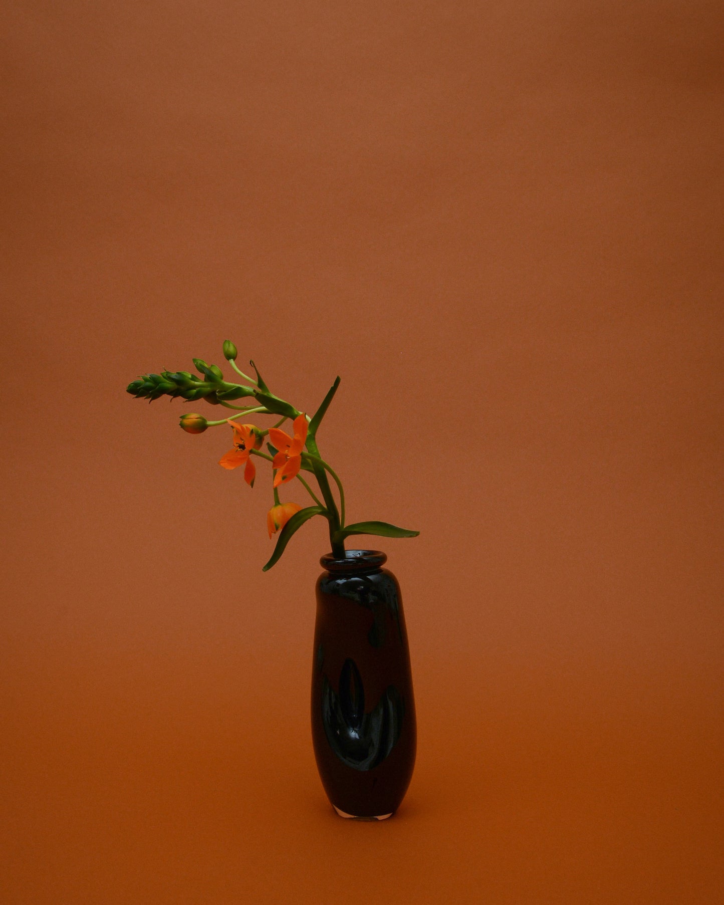 Touch Vase (black)