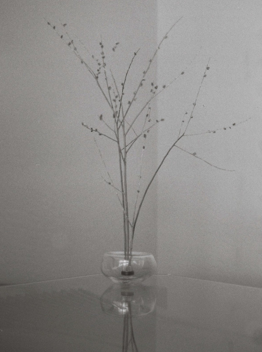 Bubble Bowl