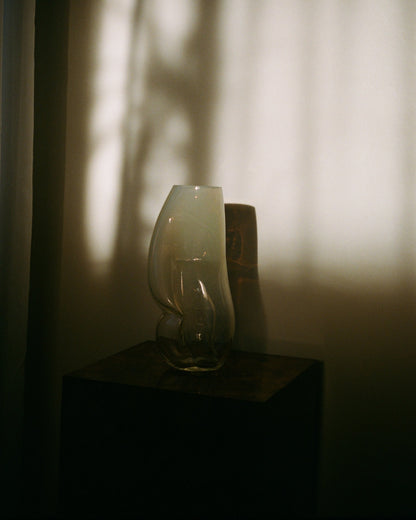 Figure no. 1