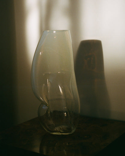 Figure no. 1